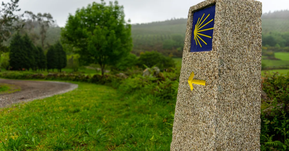 A mountain trail marked with paint on a rock, at dusk